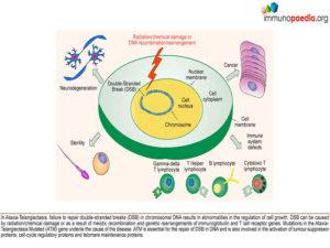 Ataxia-telangiectasia_Page_1.1