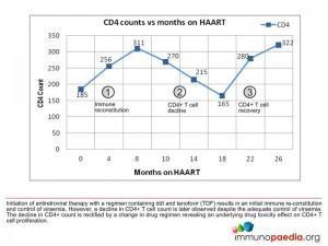 CD4 counts vs months on HAART