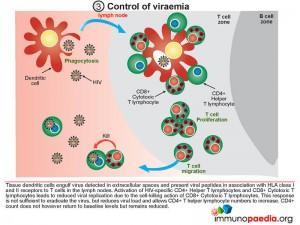 Control of viraemia