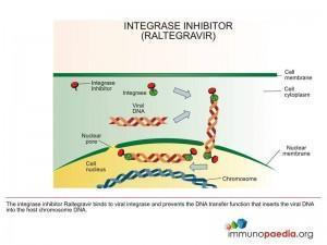 integrase-inhibitor