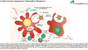 malaria_Page_6