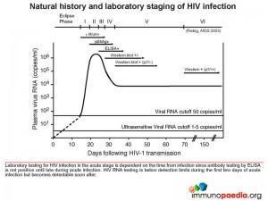 Natural history and laboratory staging of HIV infection