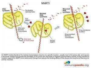 nnrti