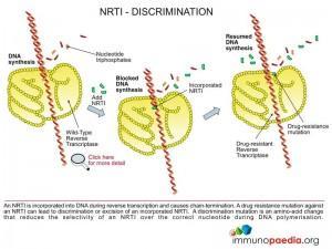 nrti-discrimination