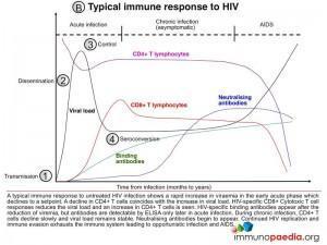 Typical Immun response top HIV