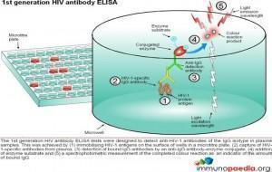 1st-generation-hiv-antibody-elisa-test