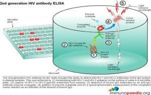 2nd-generation-hiv-antibody-elisa-test