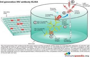 3nd-generation-hiv-antibody-elisa-test