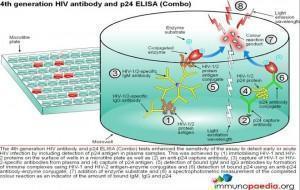 4rd-generation-hiv-antibody-elisa-test