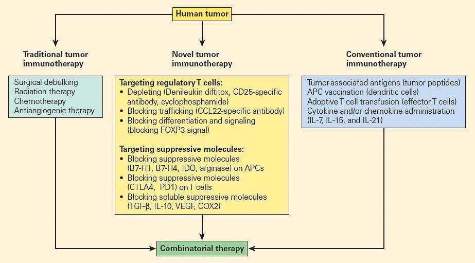 comparison of tumour therapy and immunotherapies