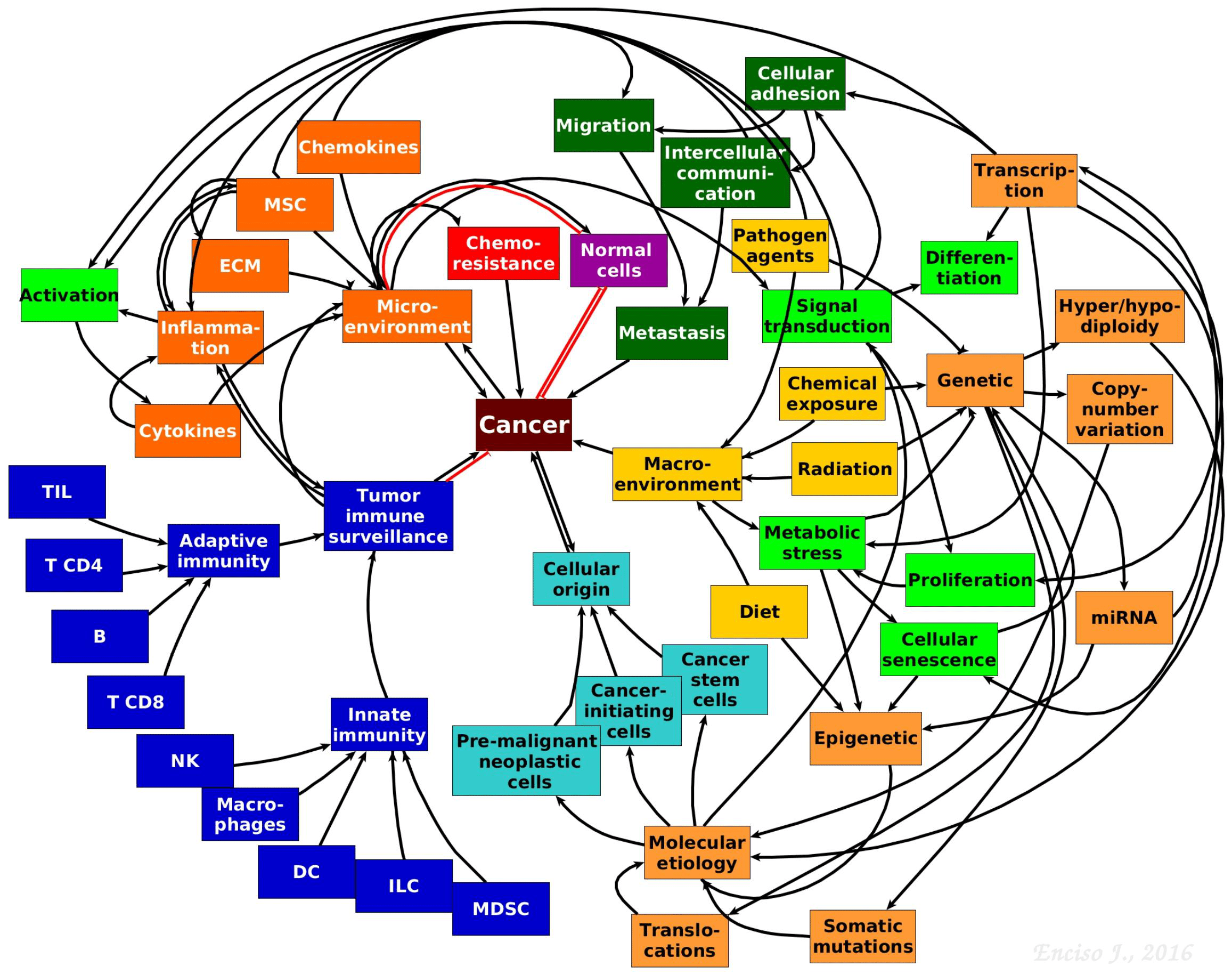 The complexity of tumour biology