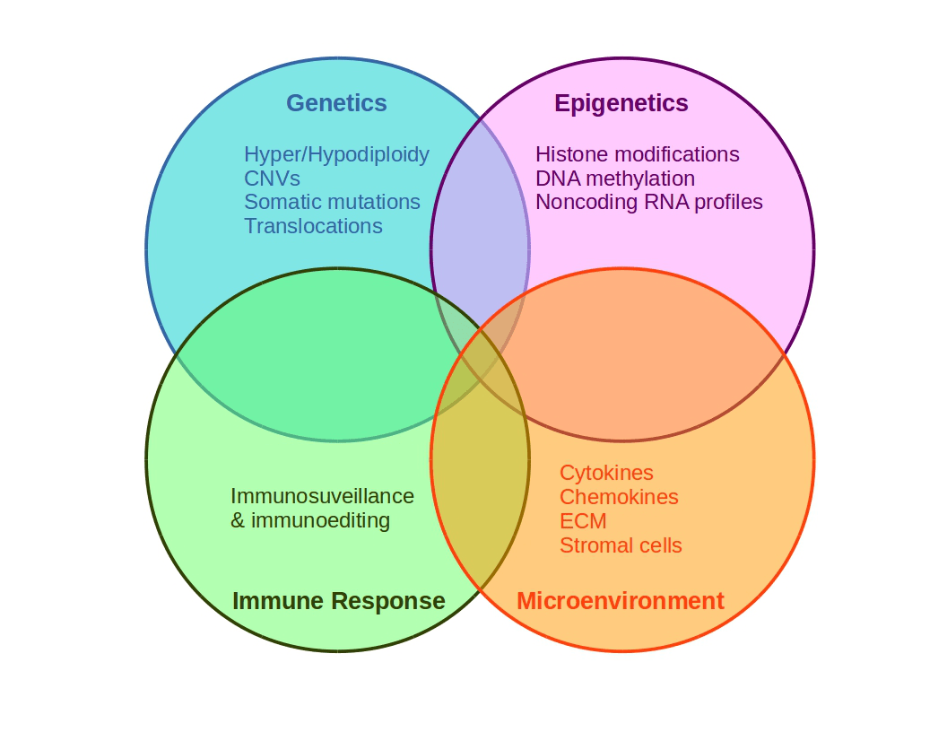 Schematic of cancer multifactoriality