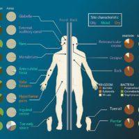 Microbiome sites on the skin