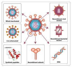 HIV vaccine strategies