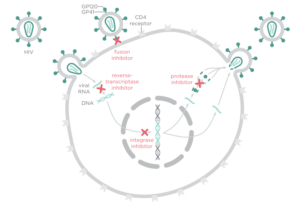 Mechanisms of current HIV drugs