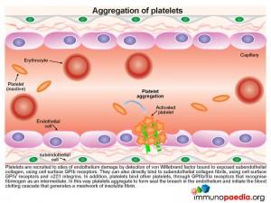 Aggregation of platelets