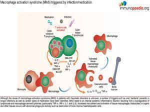 macrophage activation syndrome_Page_1.1