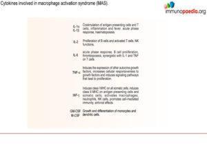 macrophage activation syndrome_Page_4.1