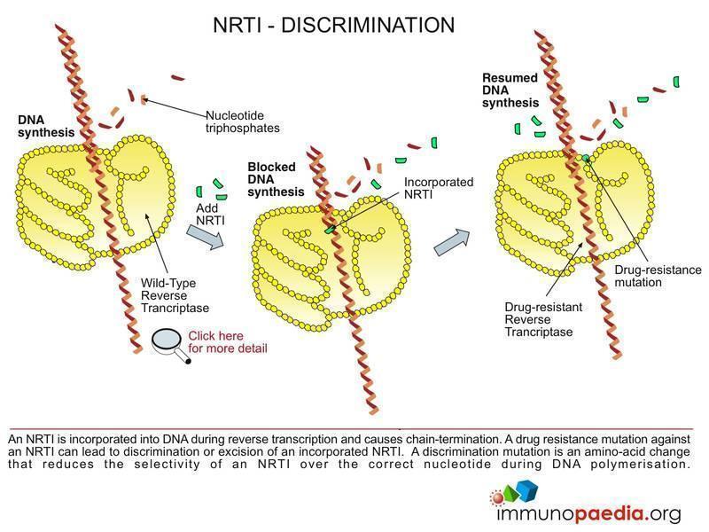 Hiv Medication Side Effects Chart