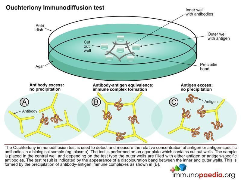 download tumor suppressor genes vol 2 regulation function and medicinal applications methods in