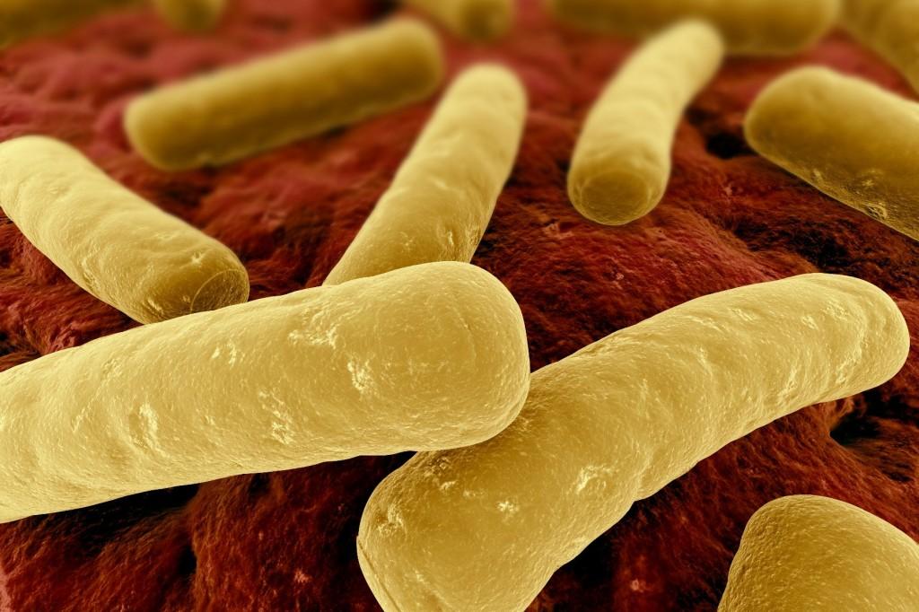 Clostridium Difficile Infection (CDI) | IL-25 levels | Immunopaedia