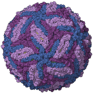 Cryo-EM structure of Zika Virus