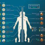 Microbiome sites on the skin