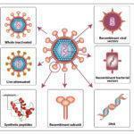 HIV vaccine strategies