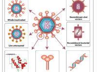 HIV vaccine strategies