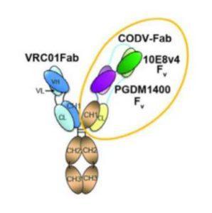 Trispecific antibody against HIV 