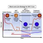 Block and lock strategy for HIV cure