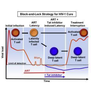 Block and lock strategy for HIV cure