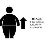 Increased Th17 in obese children