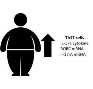 Increased Th17 in obese children