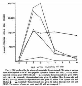 Discovery of the Thymus as a central immunological organ | Immunopaedia