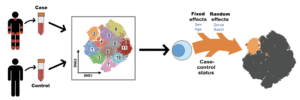 Fonseka et al., 2018. Figure 1: MASC overview. Single-cell transcriptomics or proteomics are used to assay samples from cases and controls, such as immunoprofiling of peripheral blood. The data are then clustered to define populations of similar cells. Mixed-effects logistic regression is used to predict individual cell membership in previously defined popula- tions. The addition of a case-control term to the regression model allows the user to identify populations for which case-control status is significantly associated