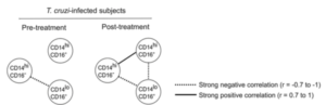 Classical, intermediate, and non-classical monocyte subsets prior to and after treatment with benznidazole are depicted by the corresponding circles. Each connecting line represents a significant interaction (P < 0.05) determined by Spearman’s correlation test. (Source Fig.3B)