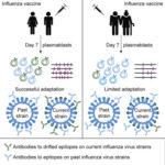 Henry et al., 2019. Graphical Abstract