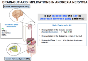 microbiota as a recruiter of bidirectional communication between the brain and gut, and changes in microbiota composition observed in Anorexia Nervosa patients. (Source: Mendez-Figueroa et al., Microogranisms 2019)