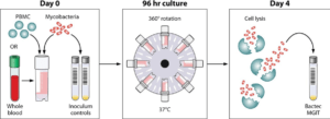 Figure 1: A schematic of the MGIT mycobacterial growth inhibition assay