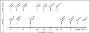 Vaccination schedules in the UKHVC003 Standard Group and TaMoVac01 trial. The UKHVC 003 SG vaccine comprised DNA plasmids (8 mg/immunization) and MVA (108 TCID50/immunization) coding for matched subtype C-derived CN54 based Env and ZM96 Gag, Pol, and Nef immunogen sequences. Of note, MVA-C expressed only the gp120 portion of Env. The CN54rgp140 protein (100 ug/immunization) was adjuvanted with 5ug GLA-AF and administered as two additional boosts. The TaMoVac I vaccination regimen included DNA vaccination (600 or 1,000 μg/immunization) with 7 plasmids (encoding for Env subtypes A, B, and C and Rev subtype B as well as Gag subtypes A, B, and RTmut subtype B) delivered intradermal, followed by MVA-CMDR (108 pfu/immunization), expressing HIV gp150 (subtype E), Gag and Pol (subtype A), and two additional boosts with 100 μg of CN54rgp140 protein adjuvanted with 5 μg GLA-AF. (Source Nadai et al., 2019)