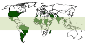 Mycetoma Belt (Source: CDC)