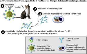 Thoms et al., 2019.  Graphical Abstract