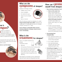 Dengue Infographic Source: http://www.searo.who.int/entity/vector_borne_tropical_diseases/topics/dengue/Dengue.pdf?ua=1