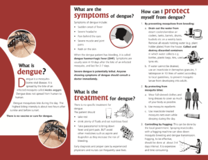 Dengue Infographic Source: http://www.searo.who.int/entity/vector_borne_tropical_diseases/topics/dengue/Dengue.pdf?ua=1