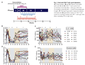 Mascio et al. Figure 1 A-E. (Source: Mascio et al., 2019 Science)