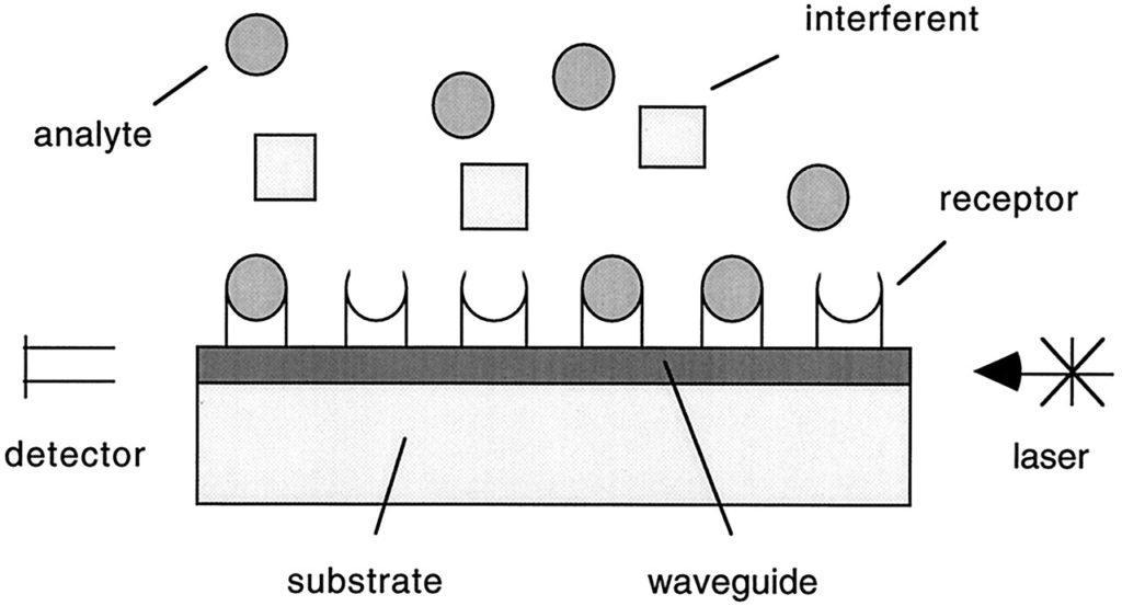 Multiplex Analysis