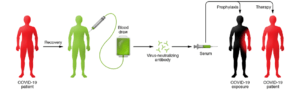 Figure 1: Schematic illustration for the proposed use of convalescent sera as therapy and prophylaxis in COVID-19. More information and various requirements for deployment and use of convalescent sera in COVID-19 can be found in Casadevall A and Pirofski (1).