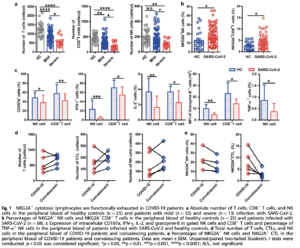 Source: Zheng et al., 2020