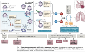 Source: Risitano et al., 2020.